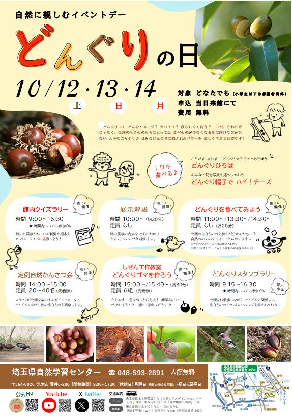 どんぐり様確認ページ どんぐり様ご確認ページ