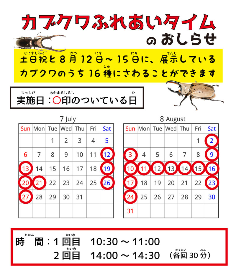 石川県ふれあい昆虫館夏イベント（ふれあいタイム案内）