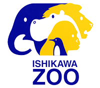 いしかわ動物園ホームページ